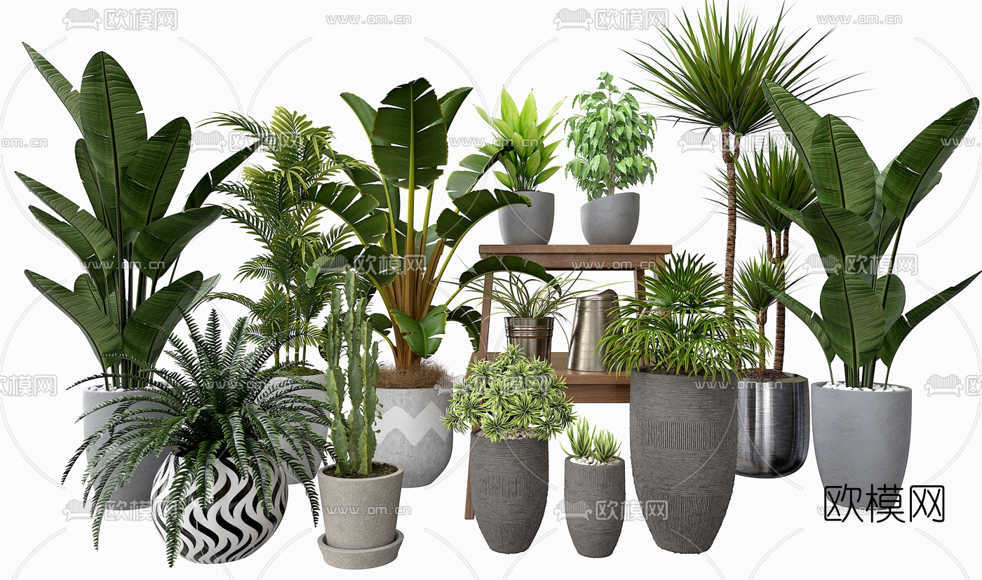 北欧绿植盆栽3d模型