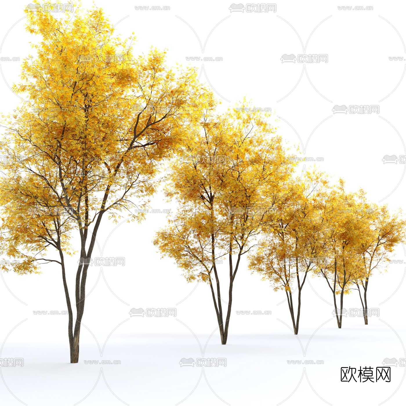 现代黄叶景观树3d模型