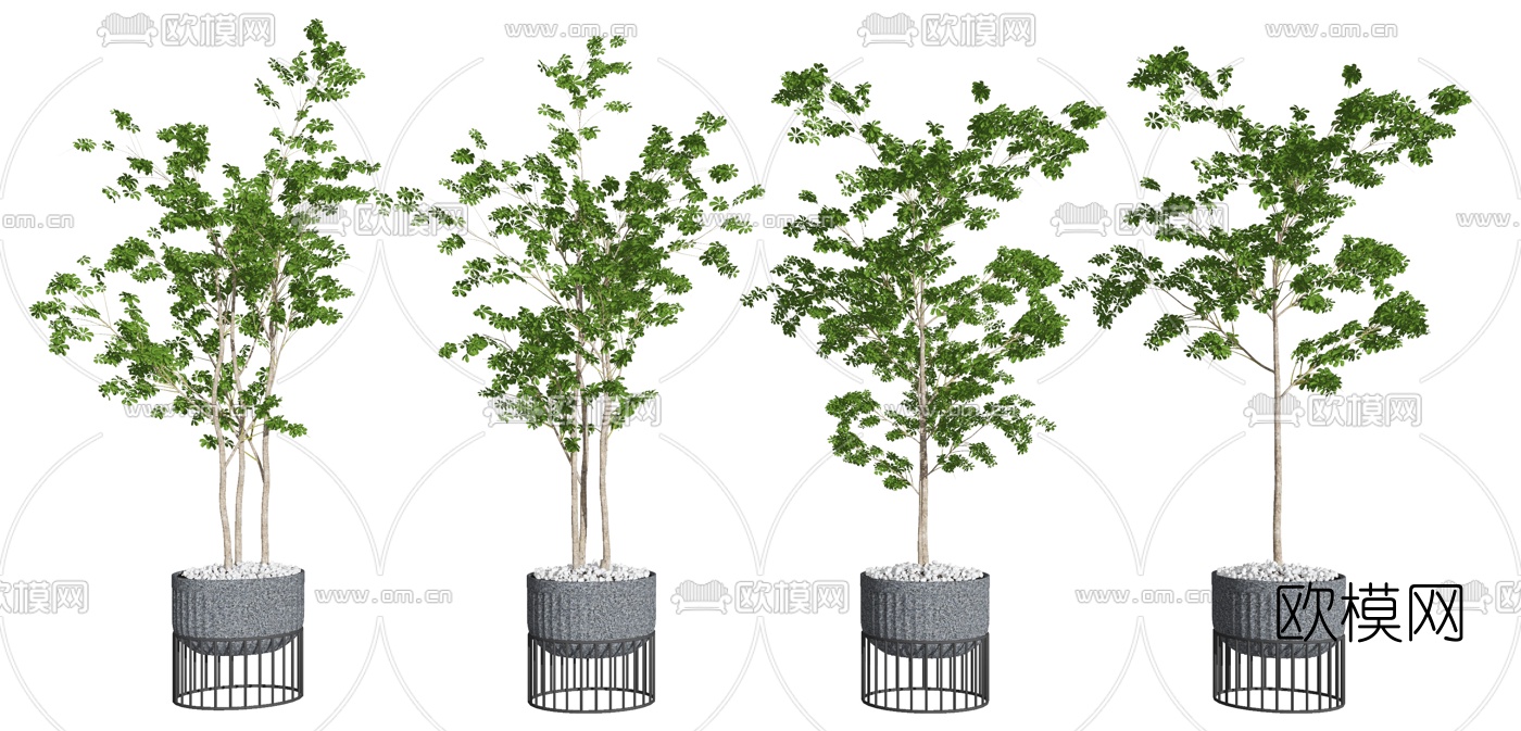 现代绿植盆栽su模型