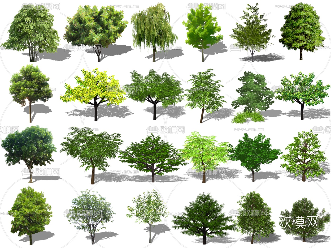 现代景观树su模型下载（渲染图1）