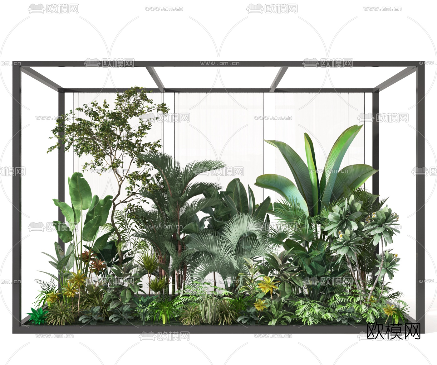 现代绿植灌木3d模型