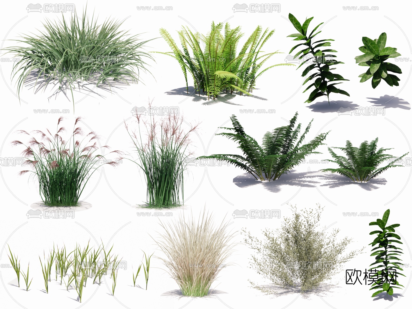 现代芦苇花草su模型