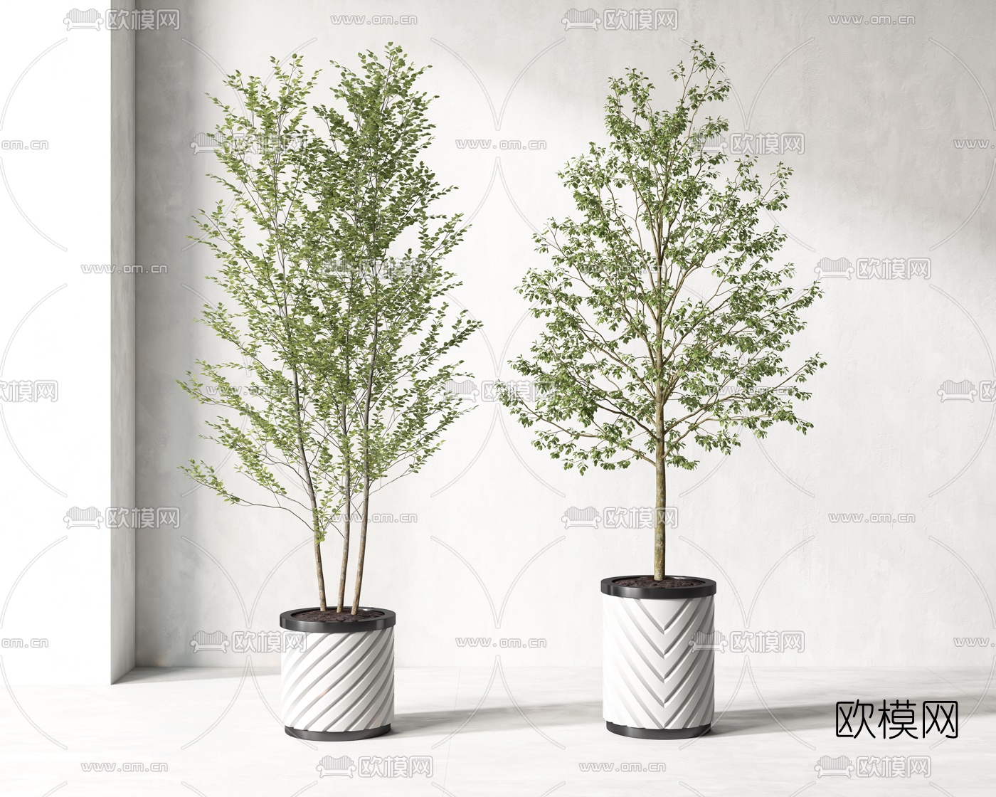 现代绿植盆栽3d模型