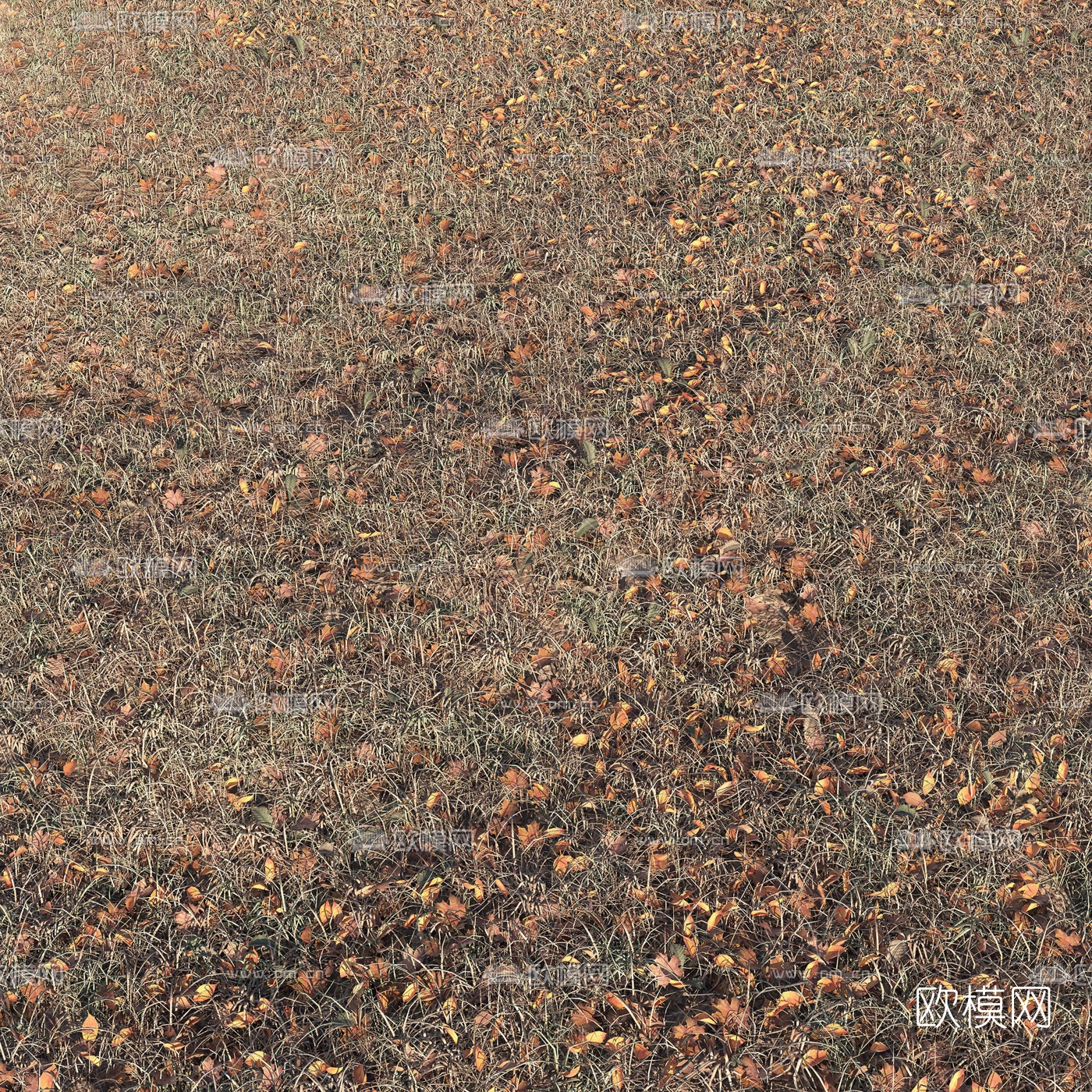 现代秋季落叶干草地3d模型下载（渲染图2）