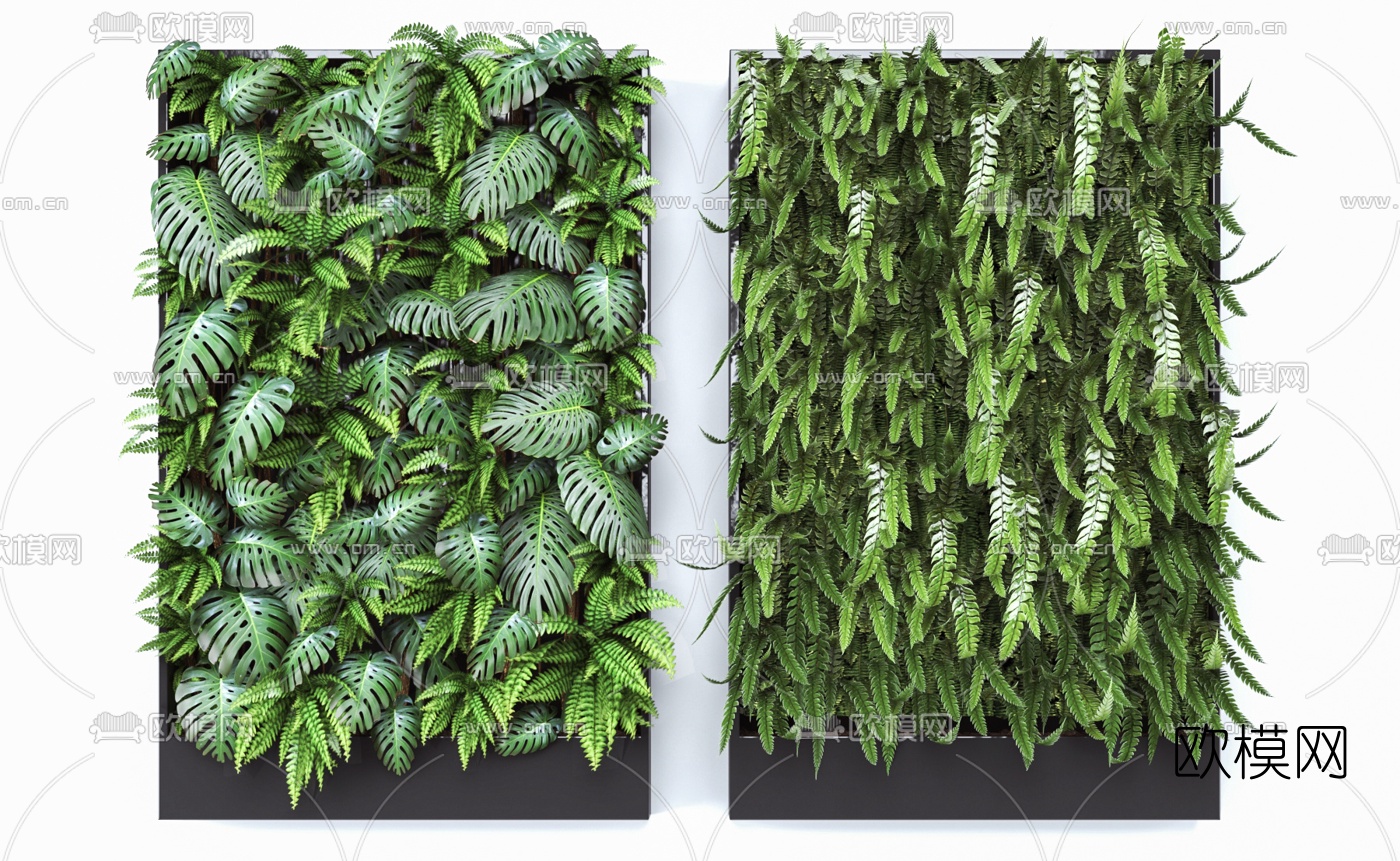 现代绿植花草植物墙3d模型