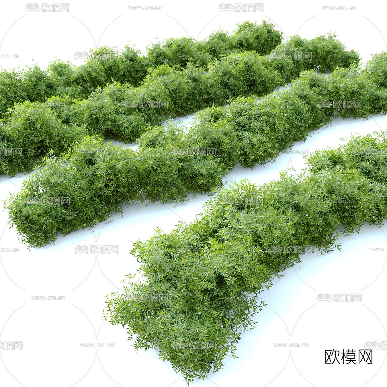 现代灌木丛3d模型下载（渲染图4）