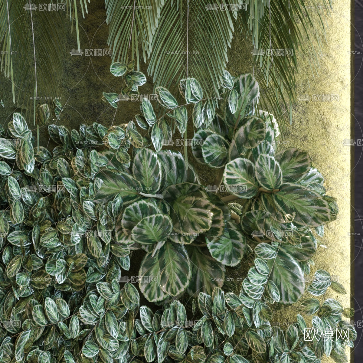 现代绿植植物墙3d模型