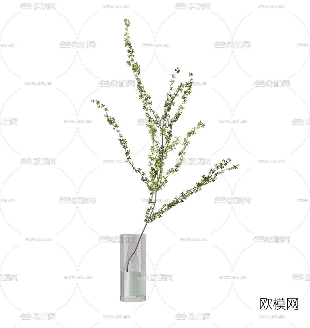 现代水生植物花瓶3d模型下载（渲染图2）