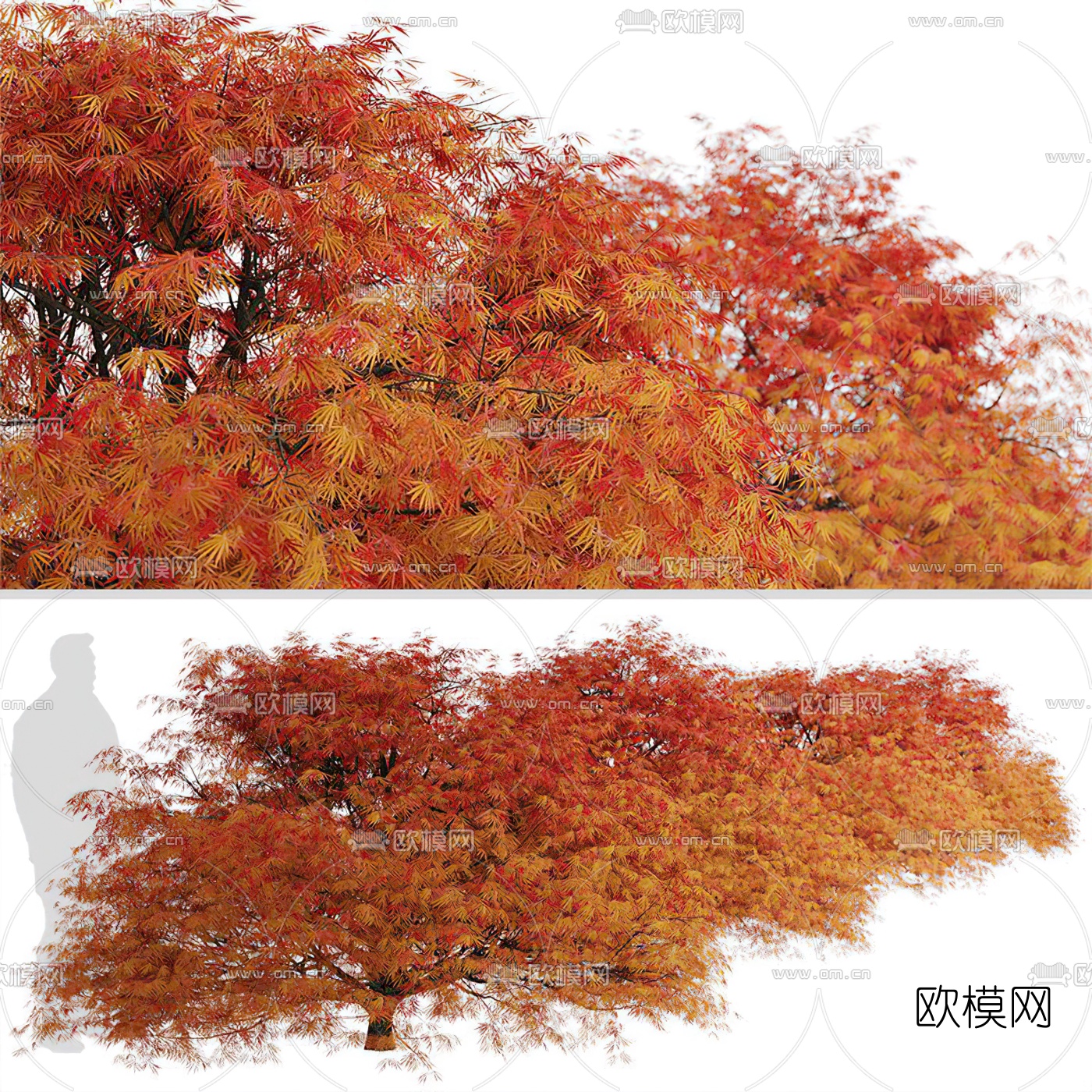 现代秋季树行道树3d模型