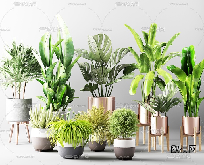 现代绿植盆栽3d模型下载