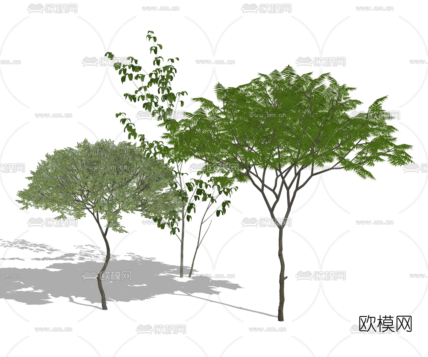 现代景观树组合su模型下载