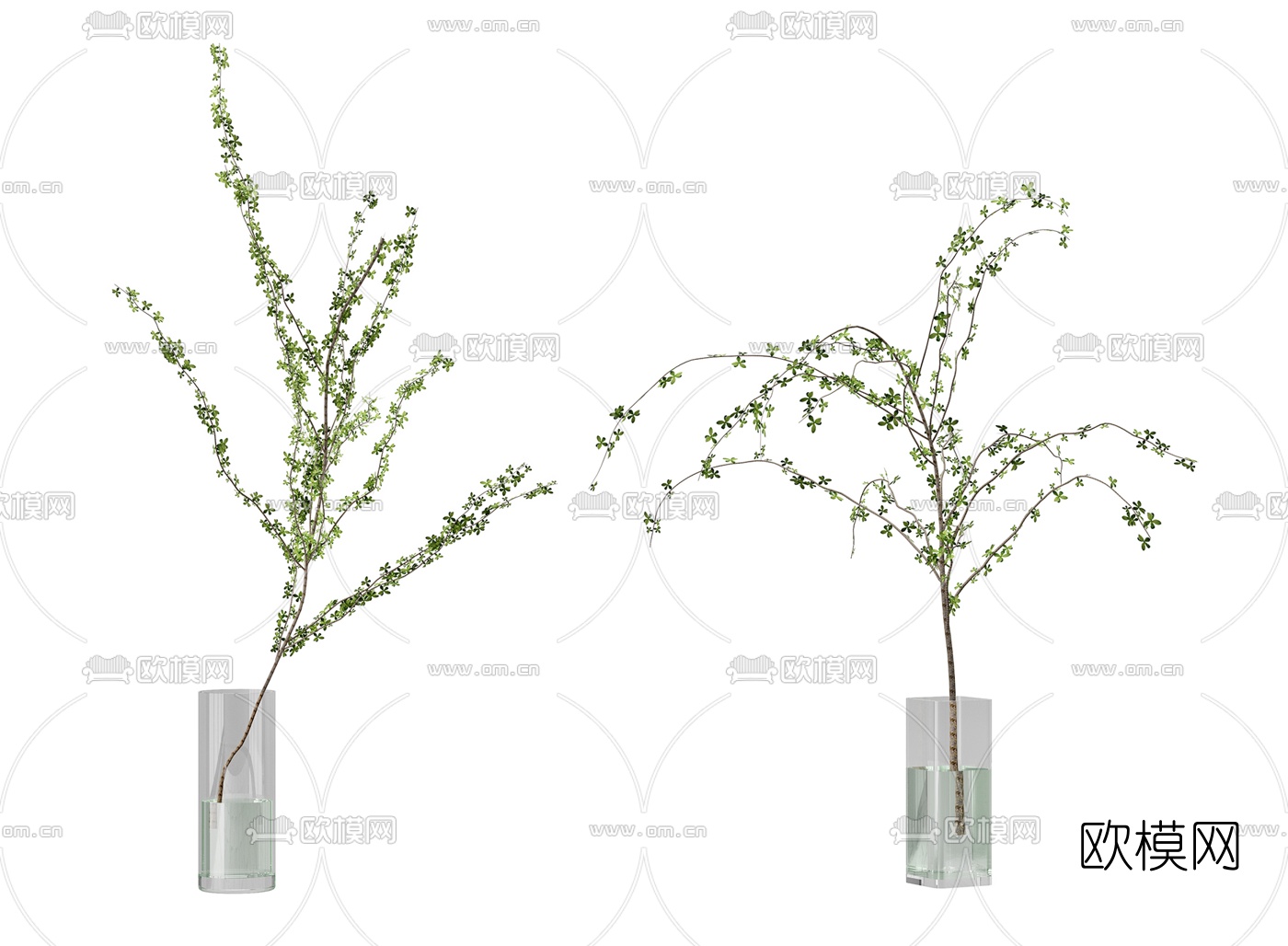 现代水生植物花瓶3d模型下载（渲染图1）