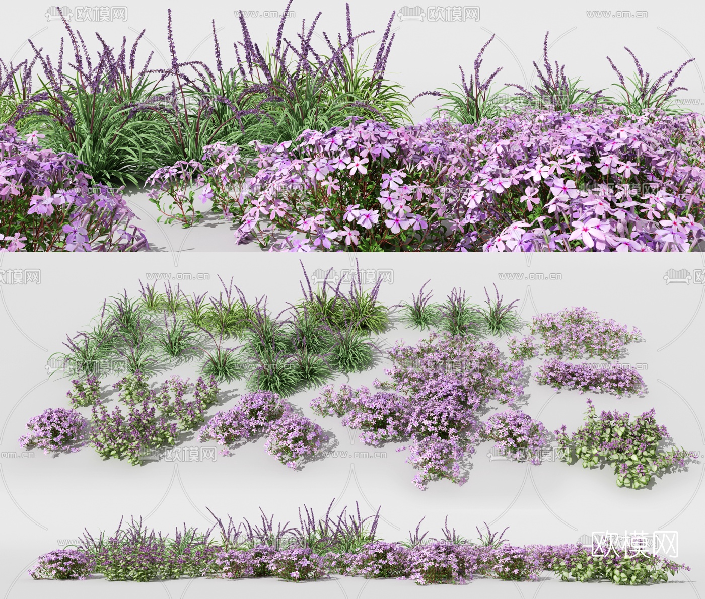 现代薰衣草花草3d模型下载