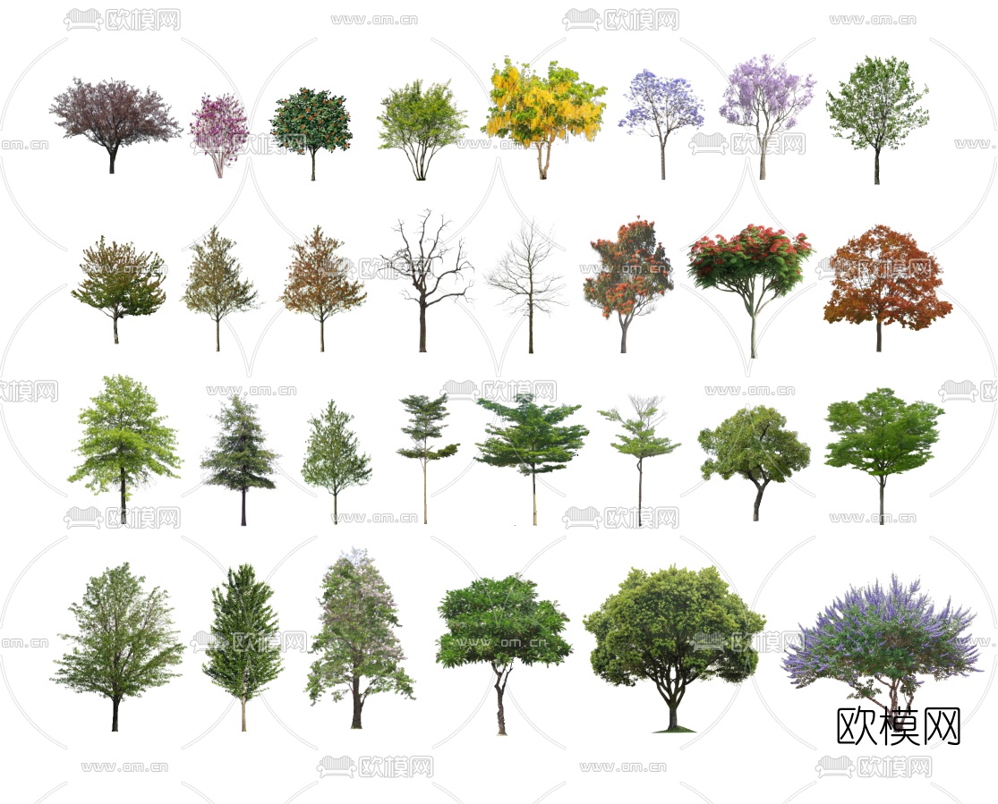 现代2D树木景观树su模型下载