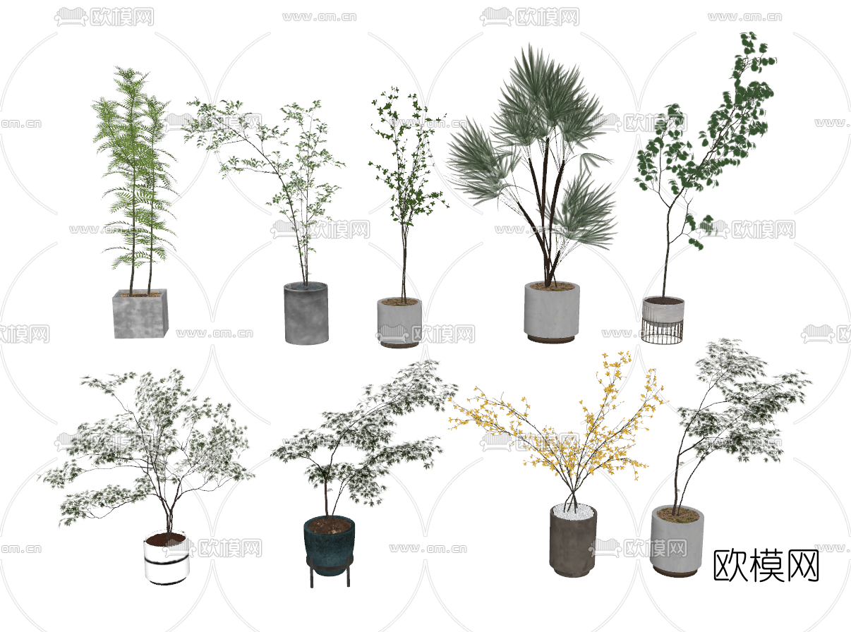 现代绿植盆栽su模型下载（渲染图2）