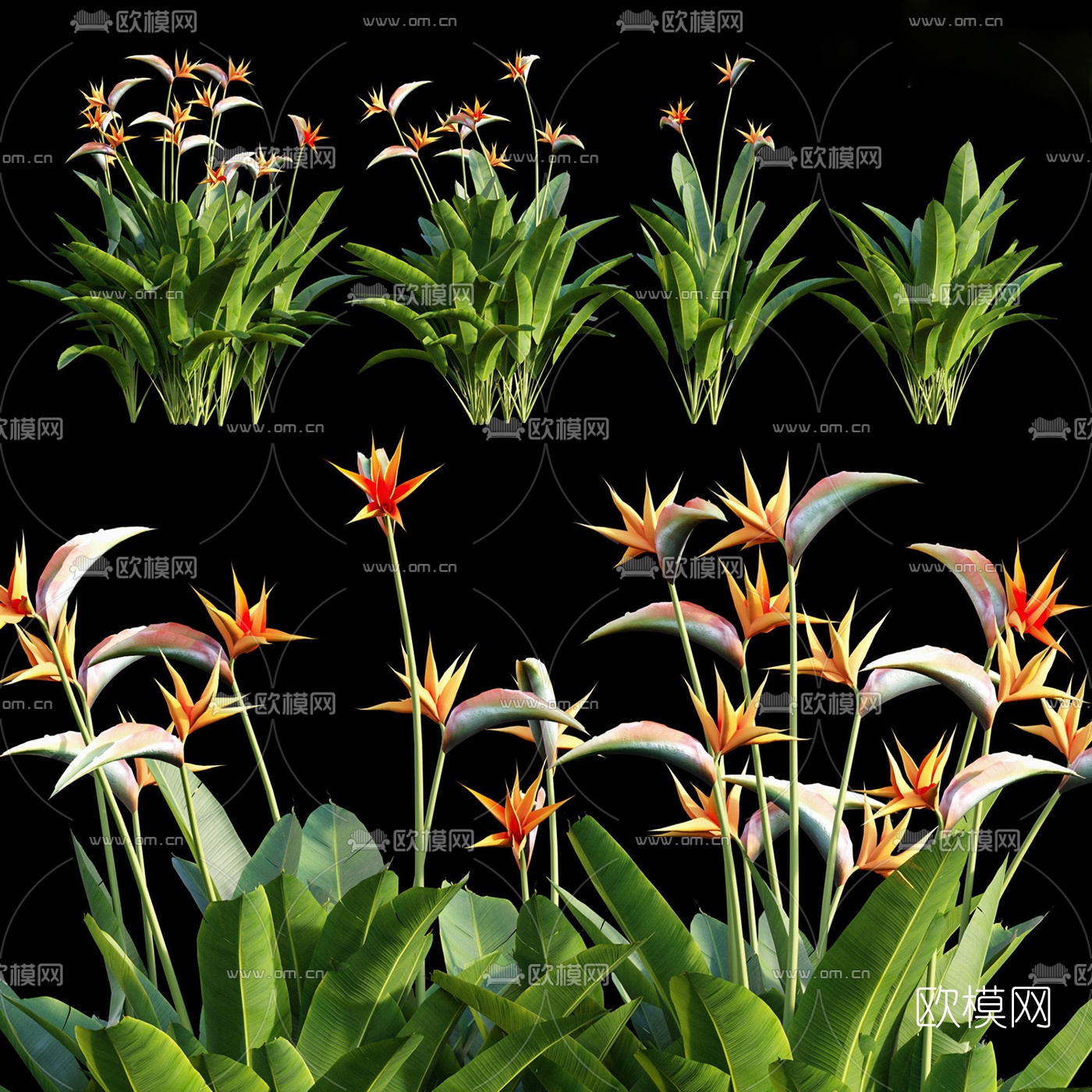 现代绿植花草3d模型下载