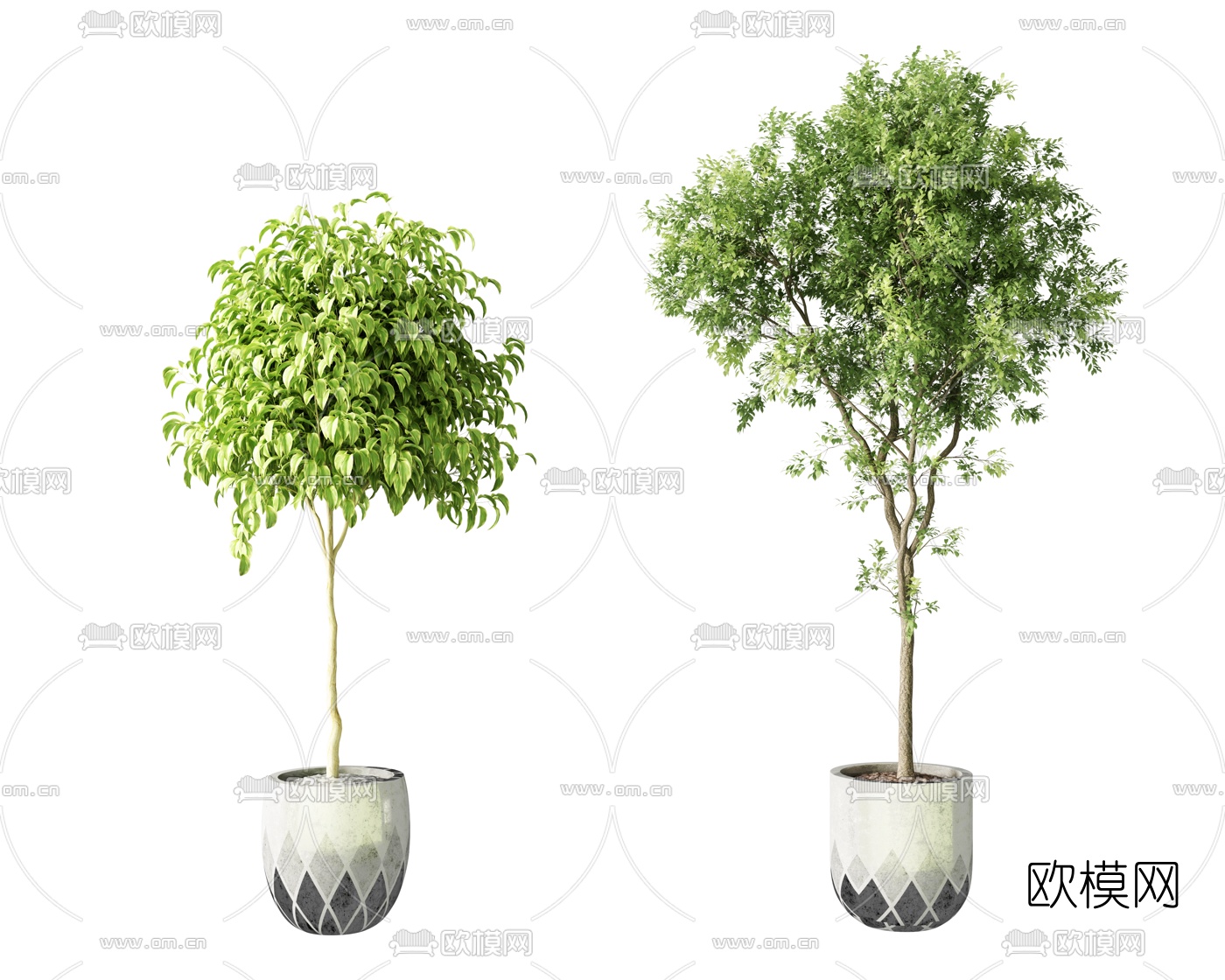 现代绿植盆栽3d模型