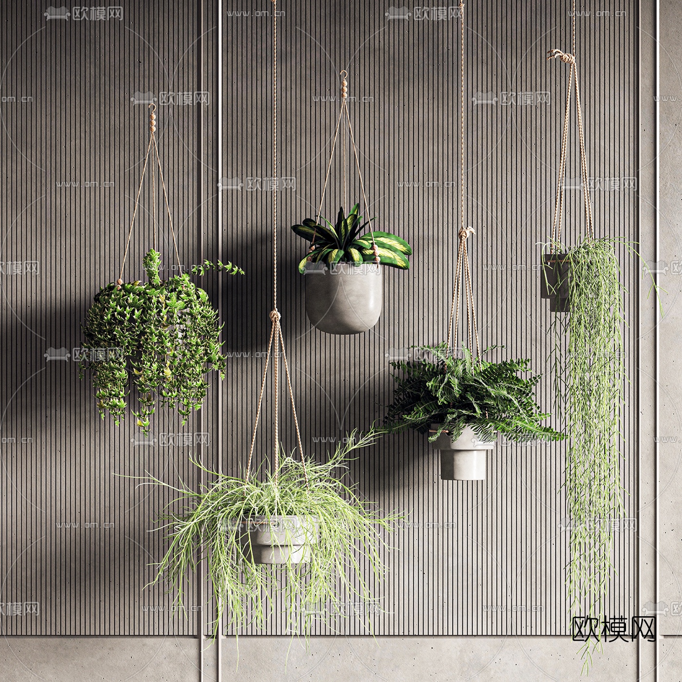 现代吊篮植物盆栽3d模型下载（渲染图1）