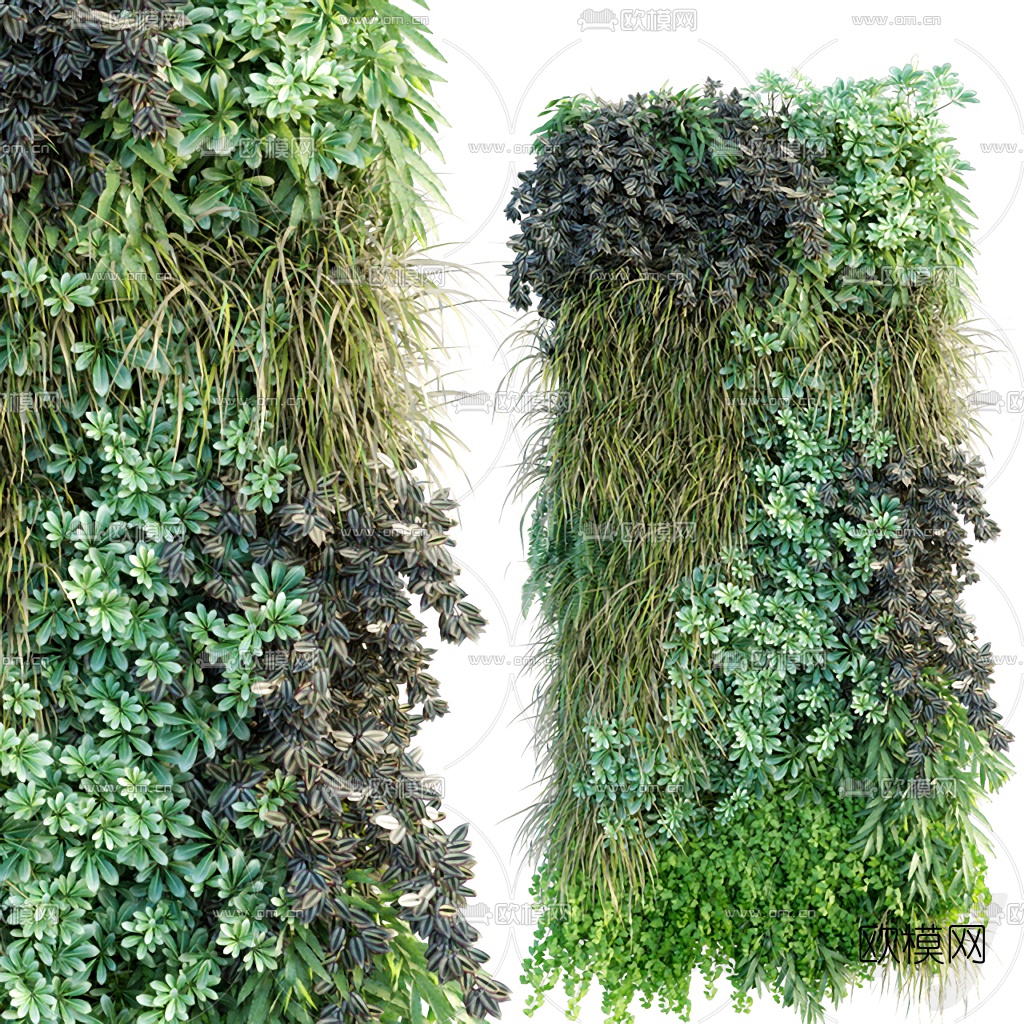 现代植物墙绿植墙3d模型