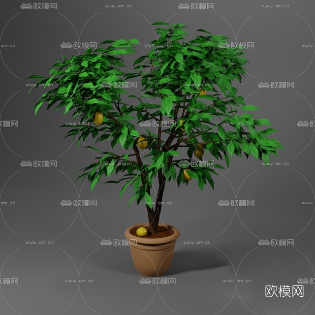 现代柠檬树盆栽免费3d模型