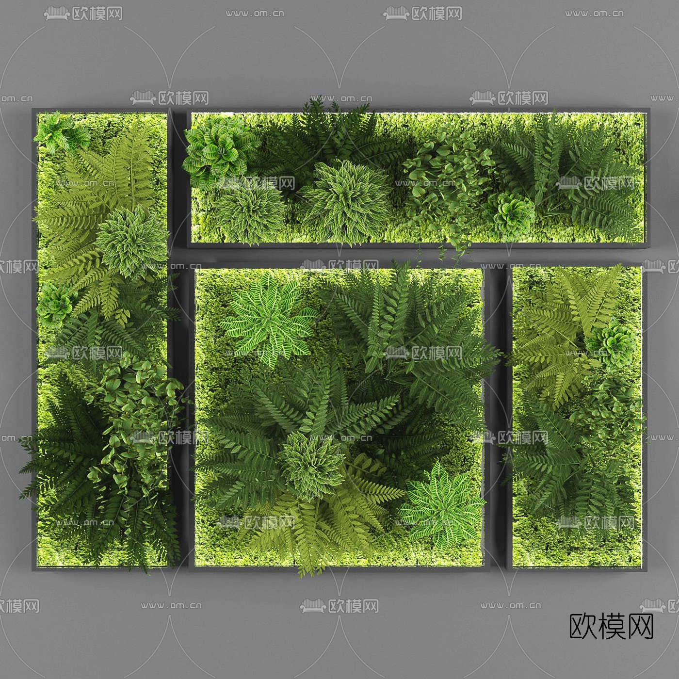 现代绿植植物墙3d模型