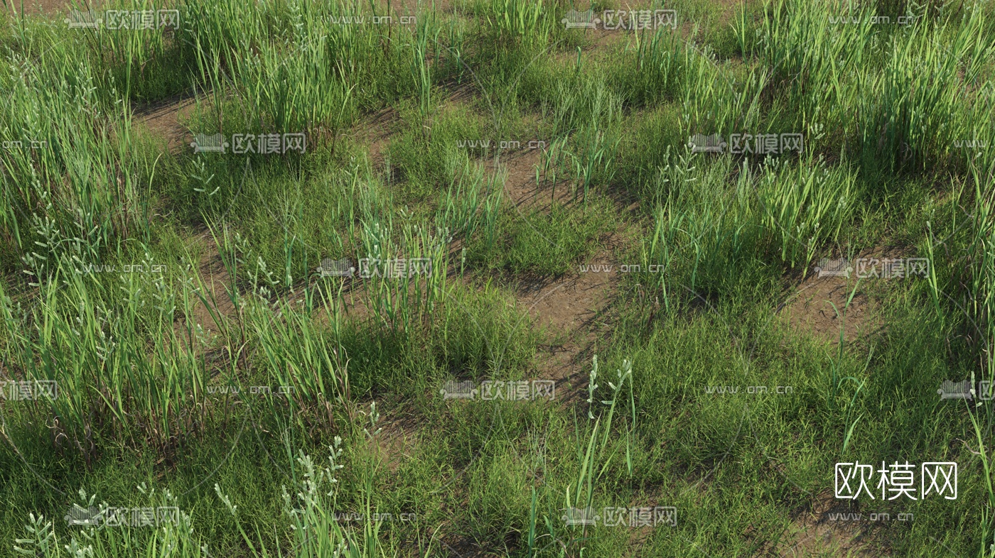 现代草地草坪3d模型下载（渲染图2）