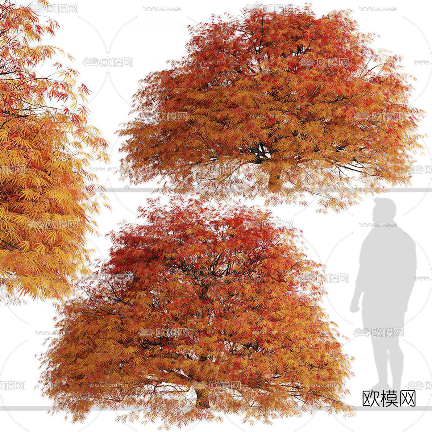 现代秋季树行道树3d模型