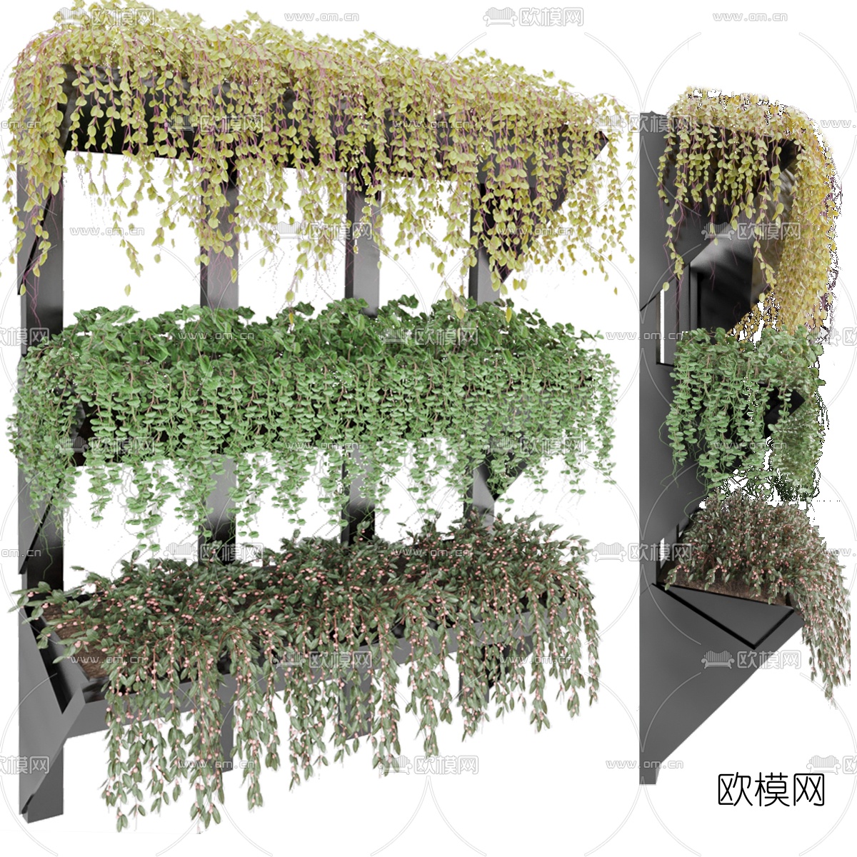 现代绿植藤蔓3d模型