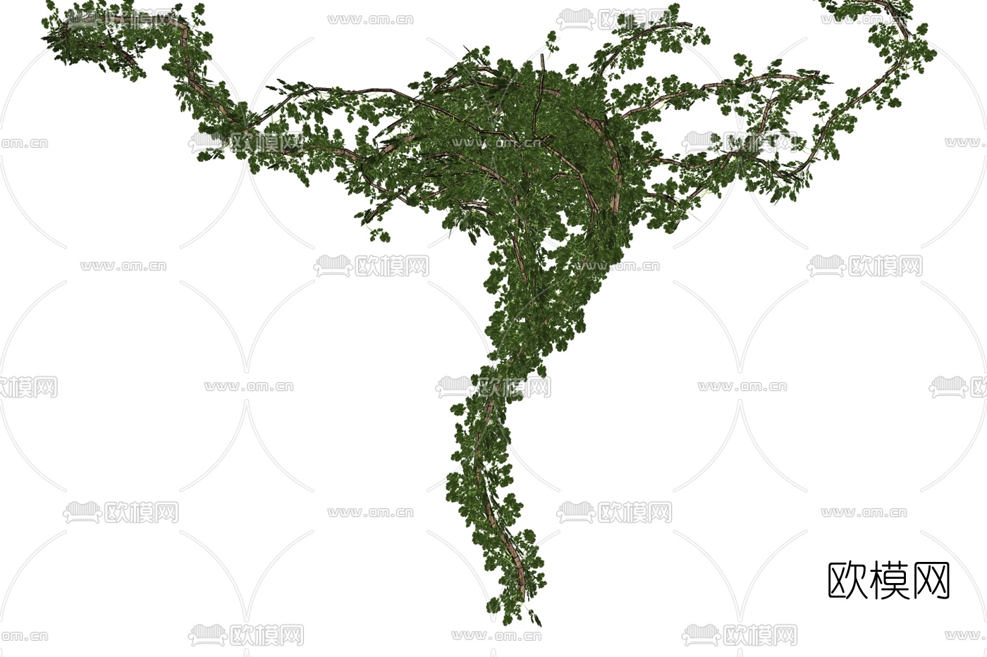 现代绿植藤蔓免费su模型下载