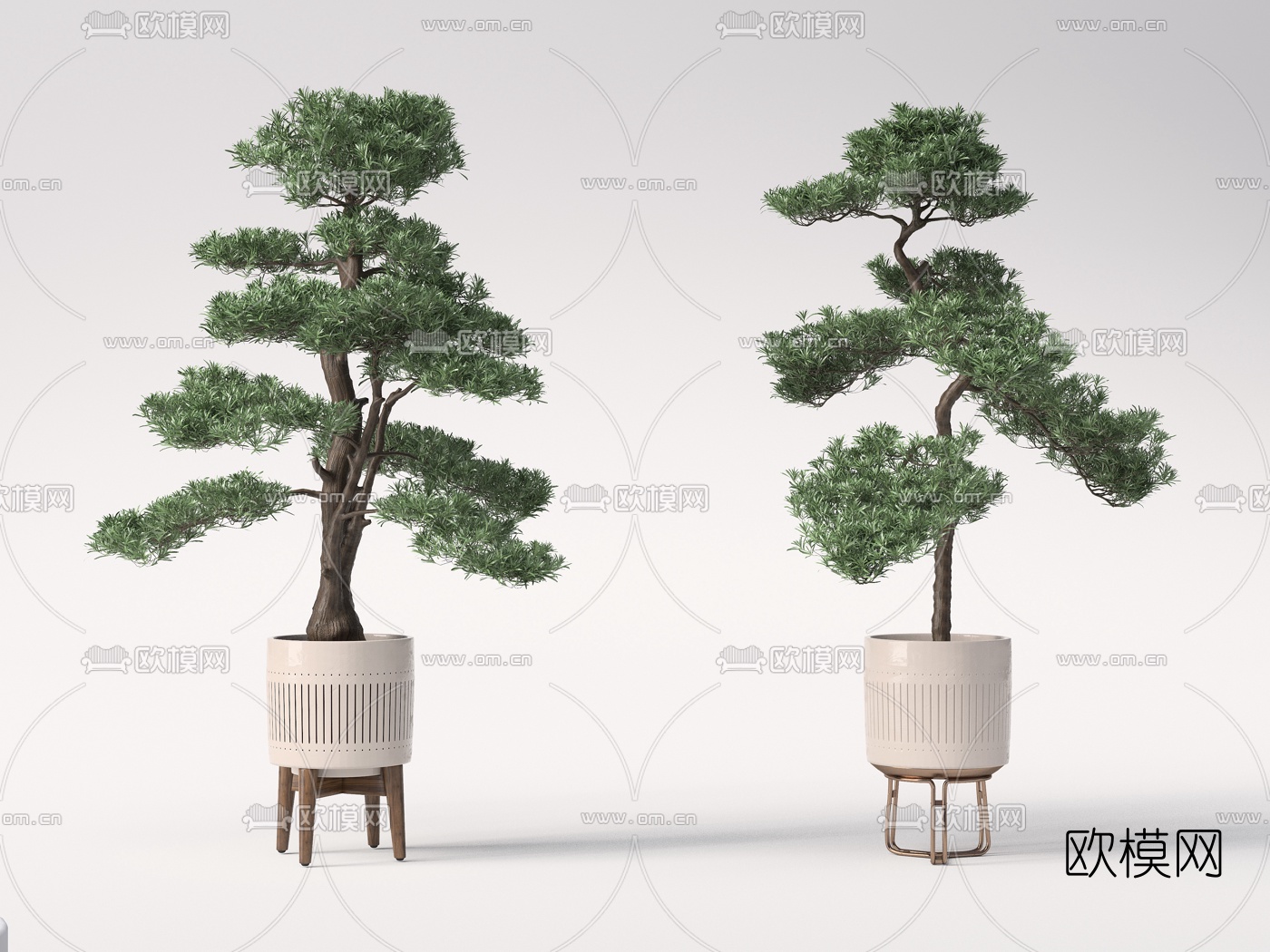新中式松树绿植盆栽3d模型-免费3dmax模型库-欧模网