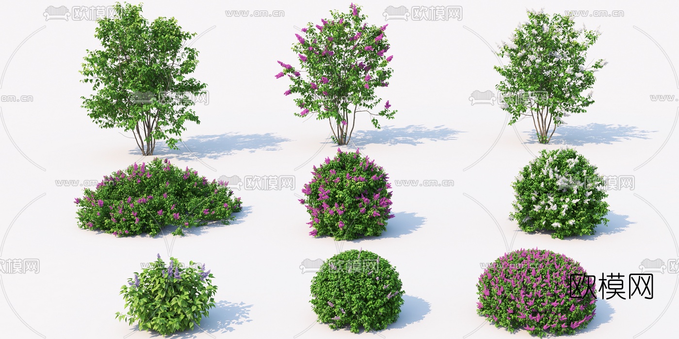 现代景观树灌木丛3d模型