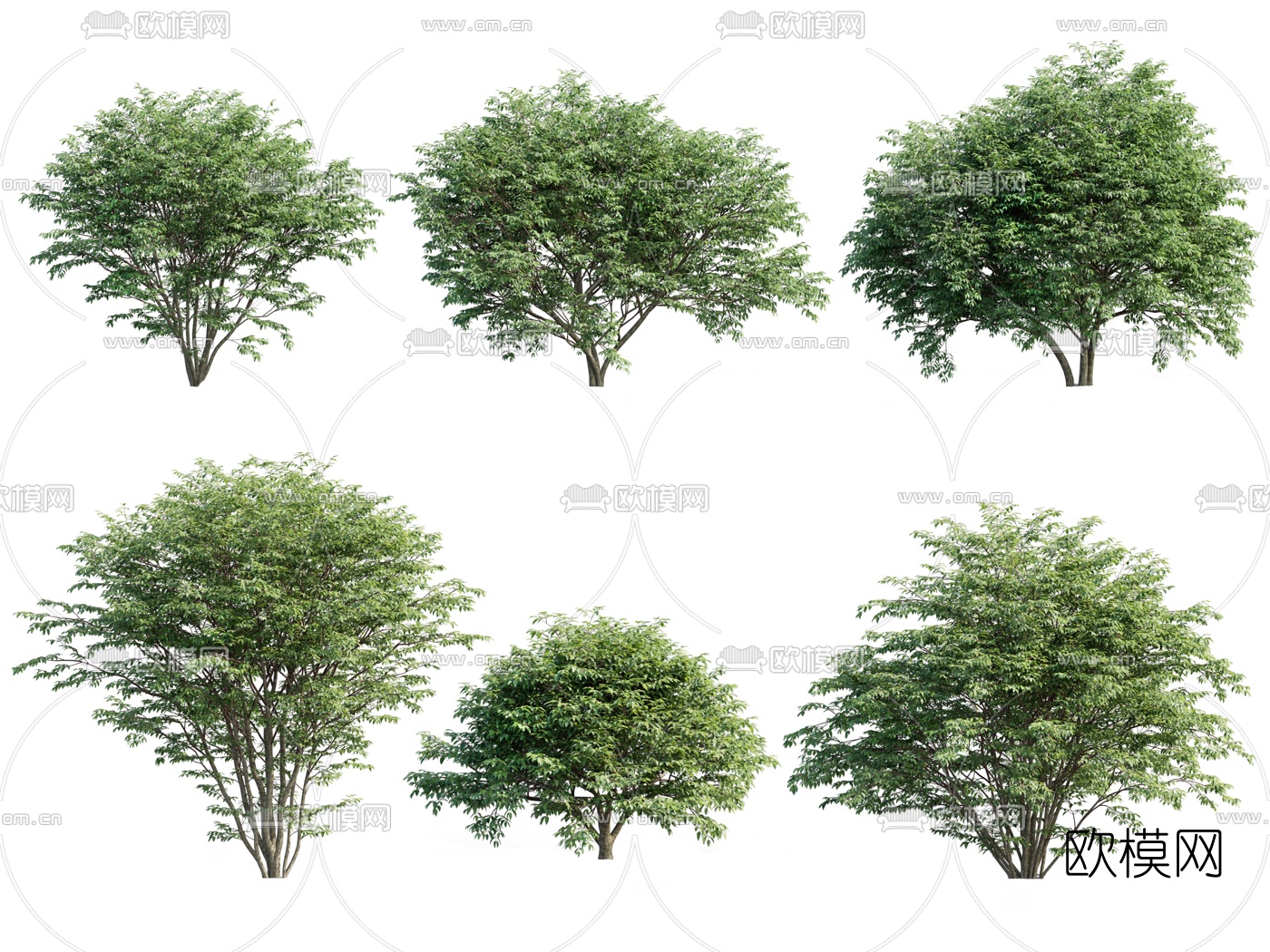 现代绿植灌木3d模型