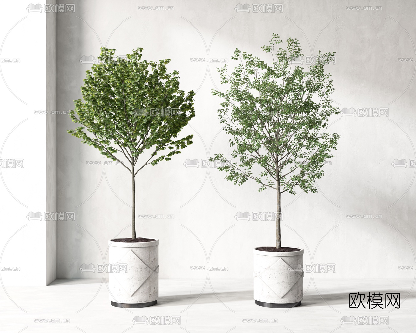 现代绿植盆栽3d模型