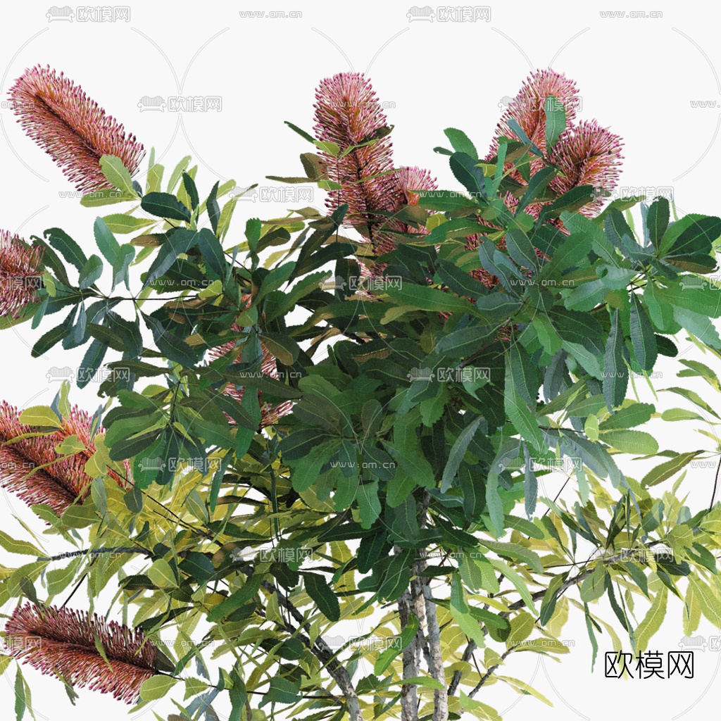 现代水生花瓶花艺3d模型下载（渲染图2）