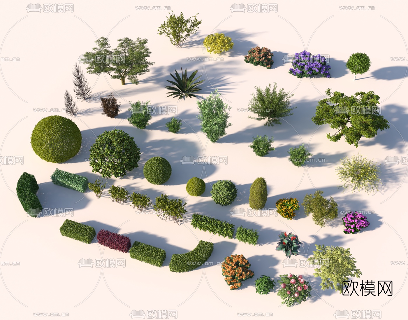 现代绿植灌木绿篱3d模型
