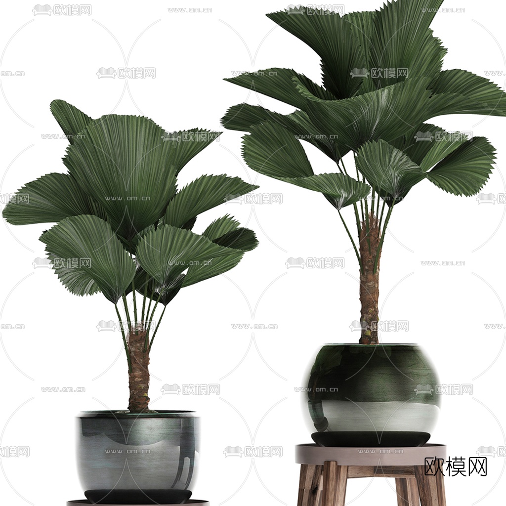 现代植物盆栽3d模型