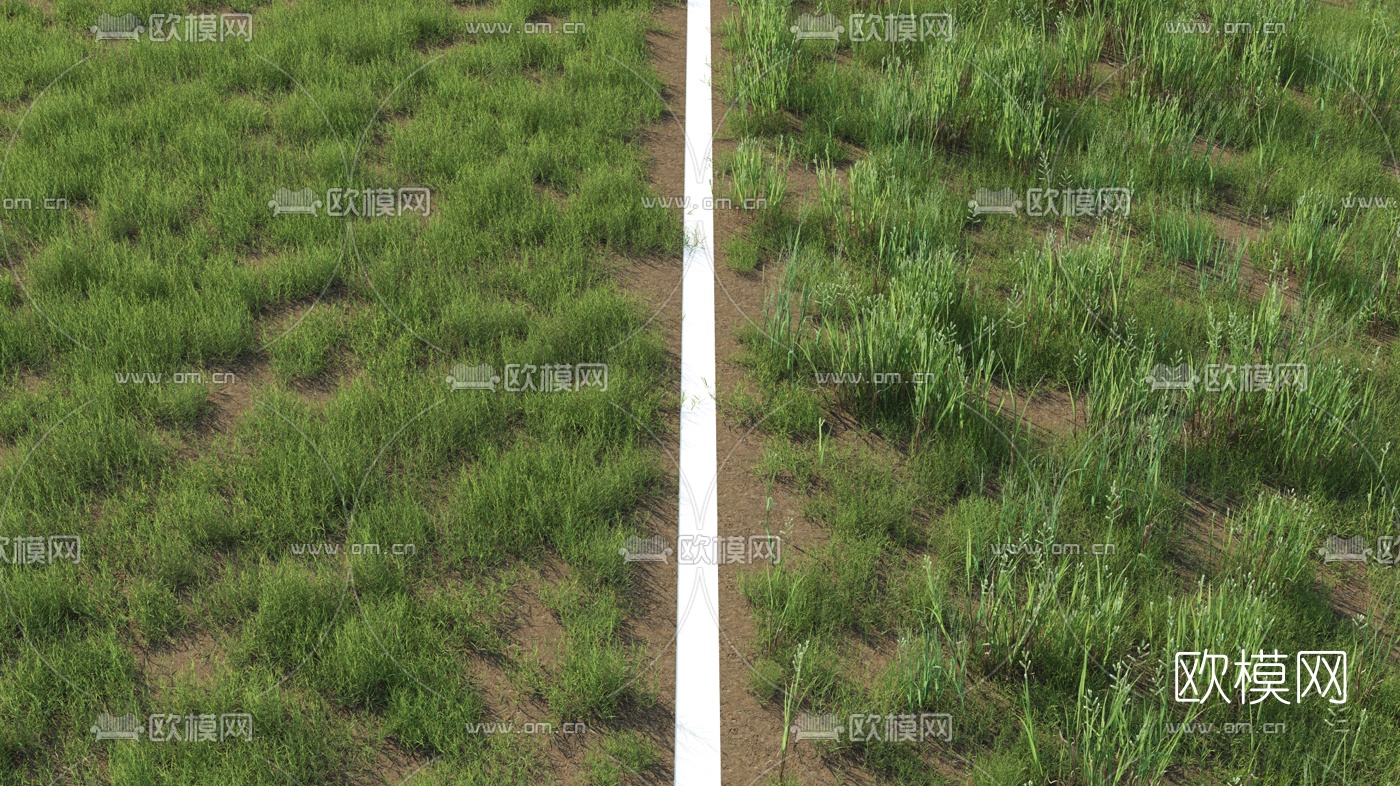 现代草地草坪3d模型下载（渲染图4）