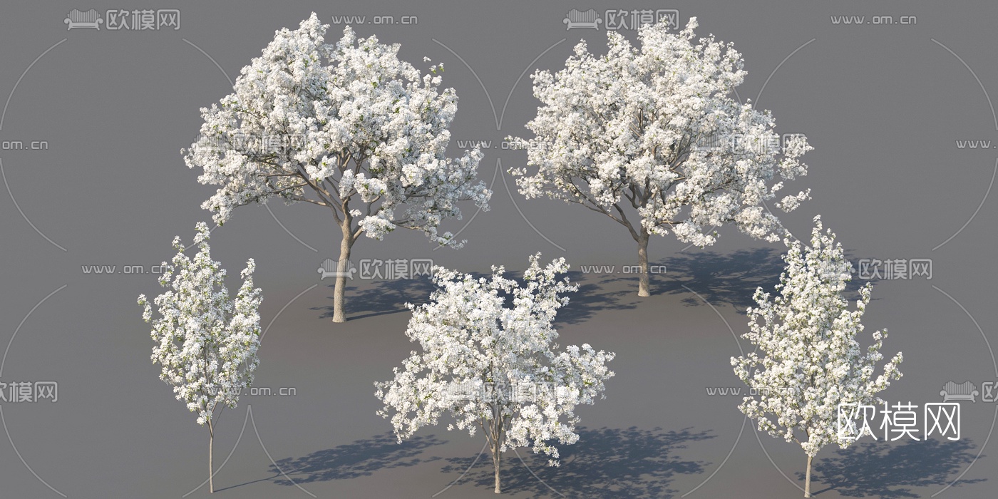 现代白色花树景观树3d模型下载