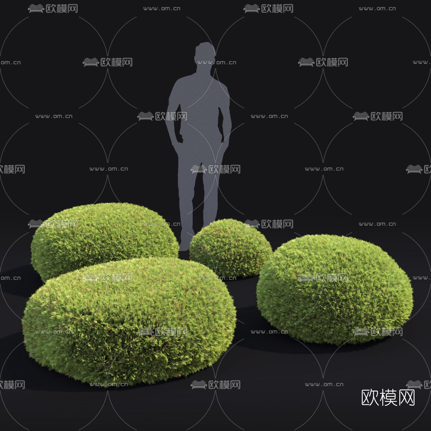 现代灌木绿篱3d模型下载（渲染图2）