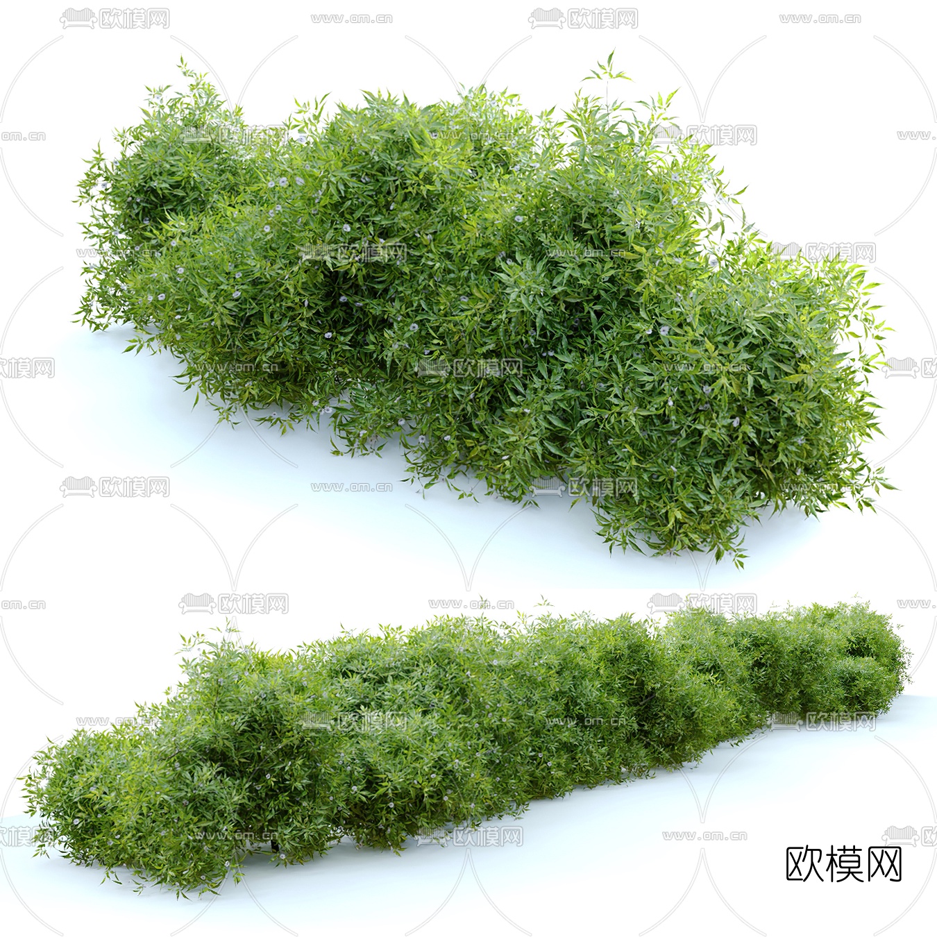 现代灌木丛3d模型下载（渲染图1）