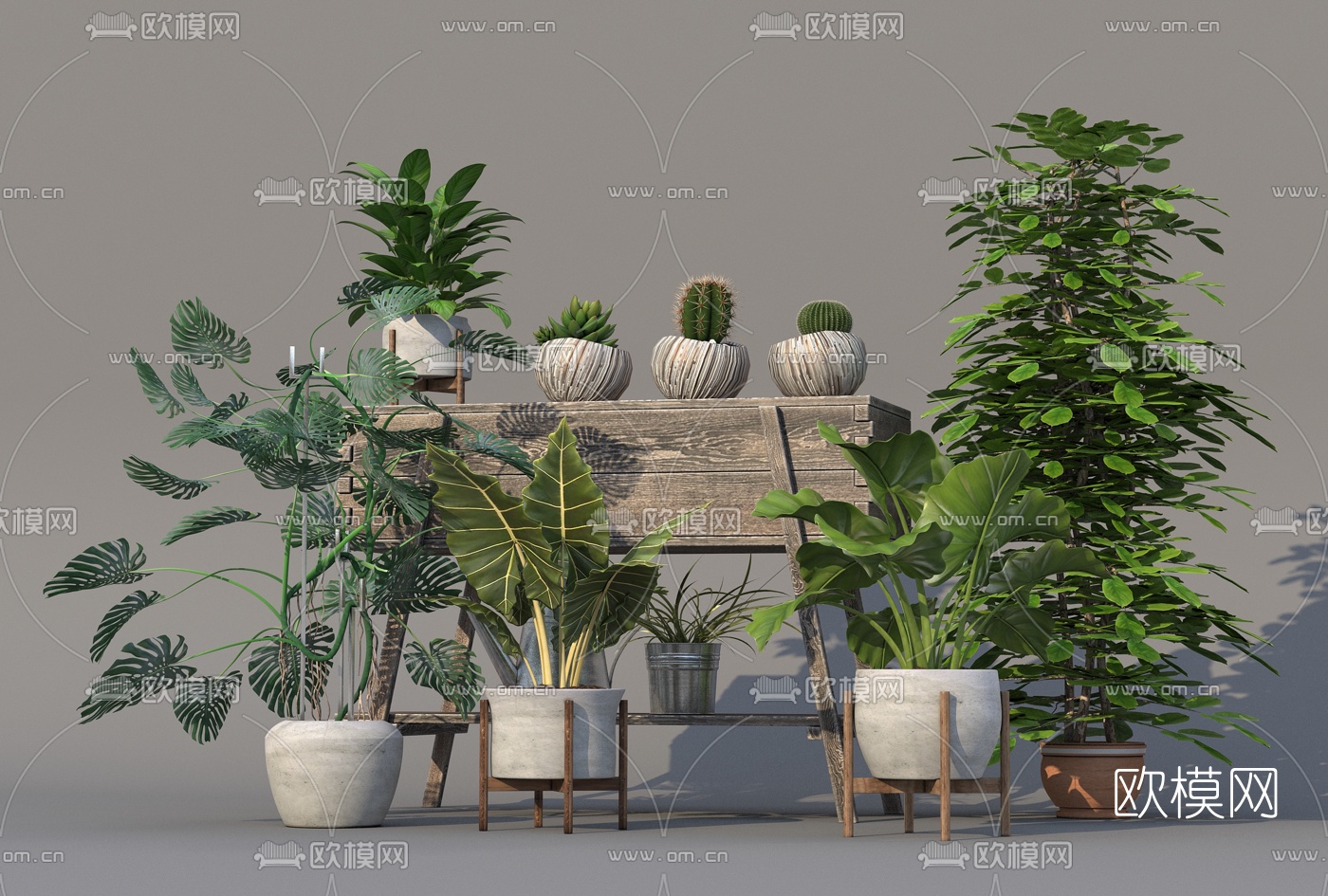 现代仙人掌盆栽3d模型