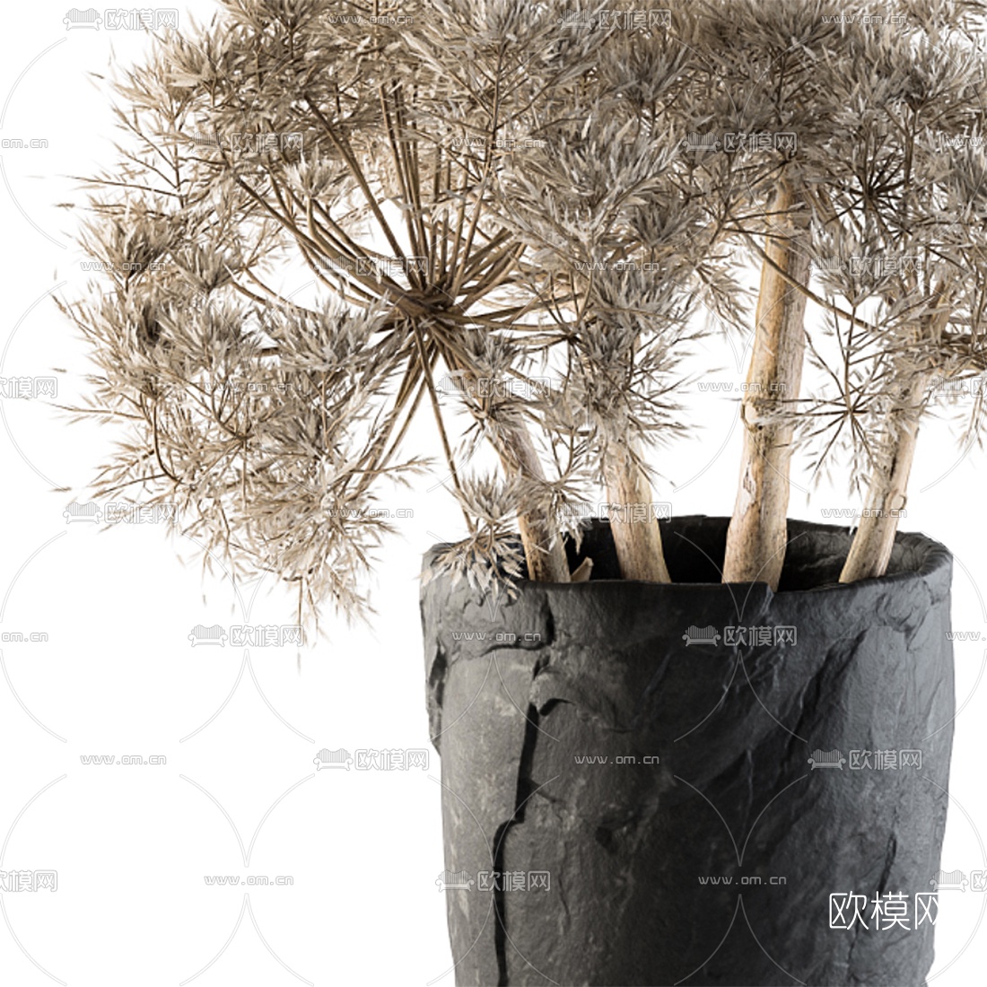 现代干花盆栽3d模型下载（渲染图3）