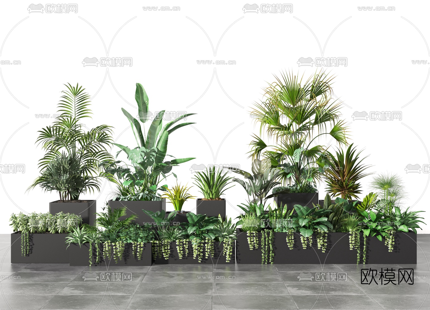 现代绿植盆栽3d模型