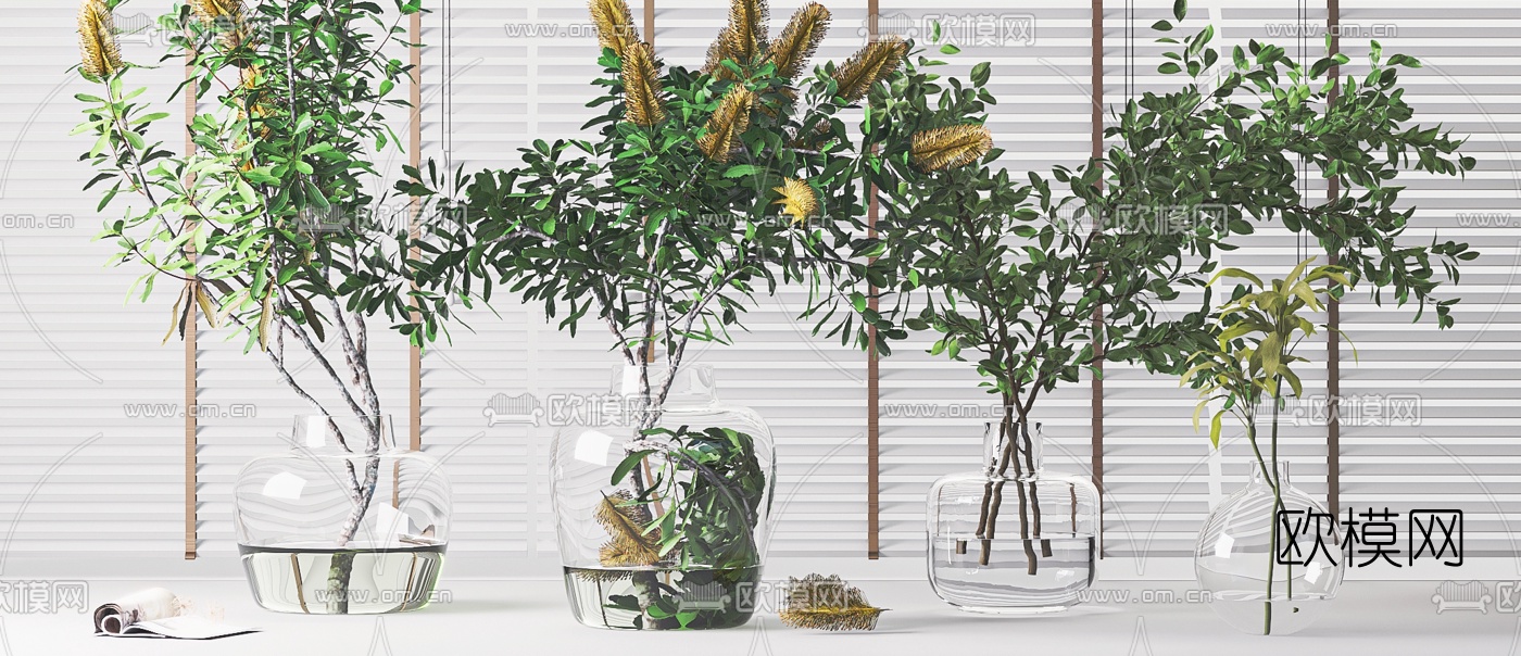 现代水生绿植花瓶3d模型下载（渲染图2）