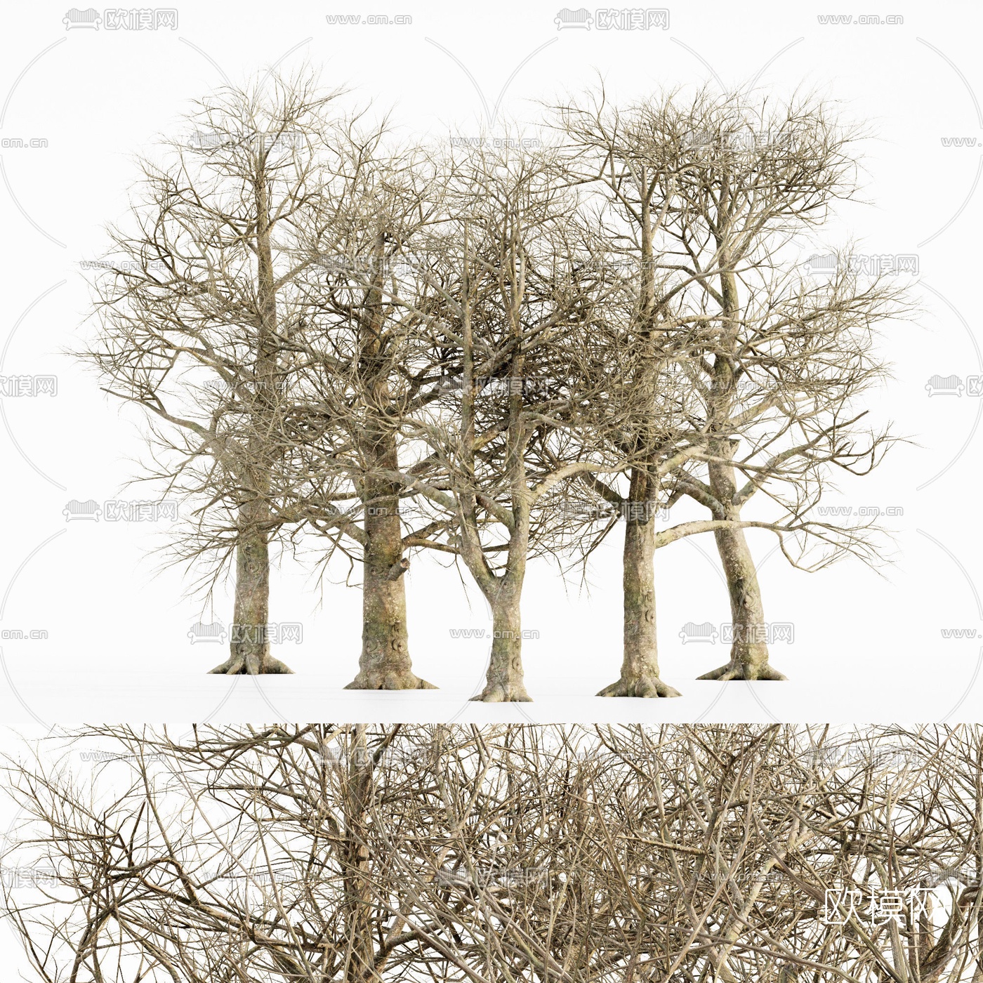 现代枯树景观树3d模型