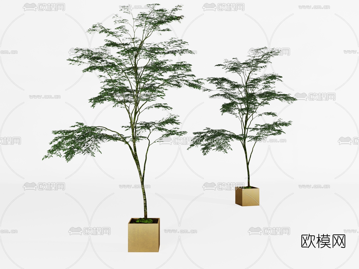 现代盆栽植物3d模型下载