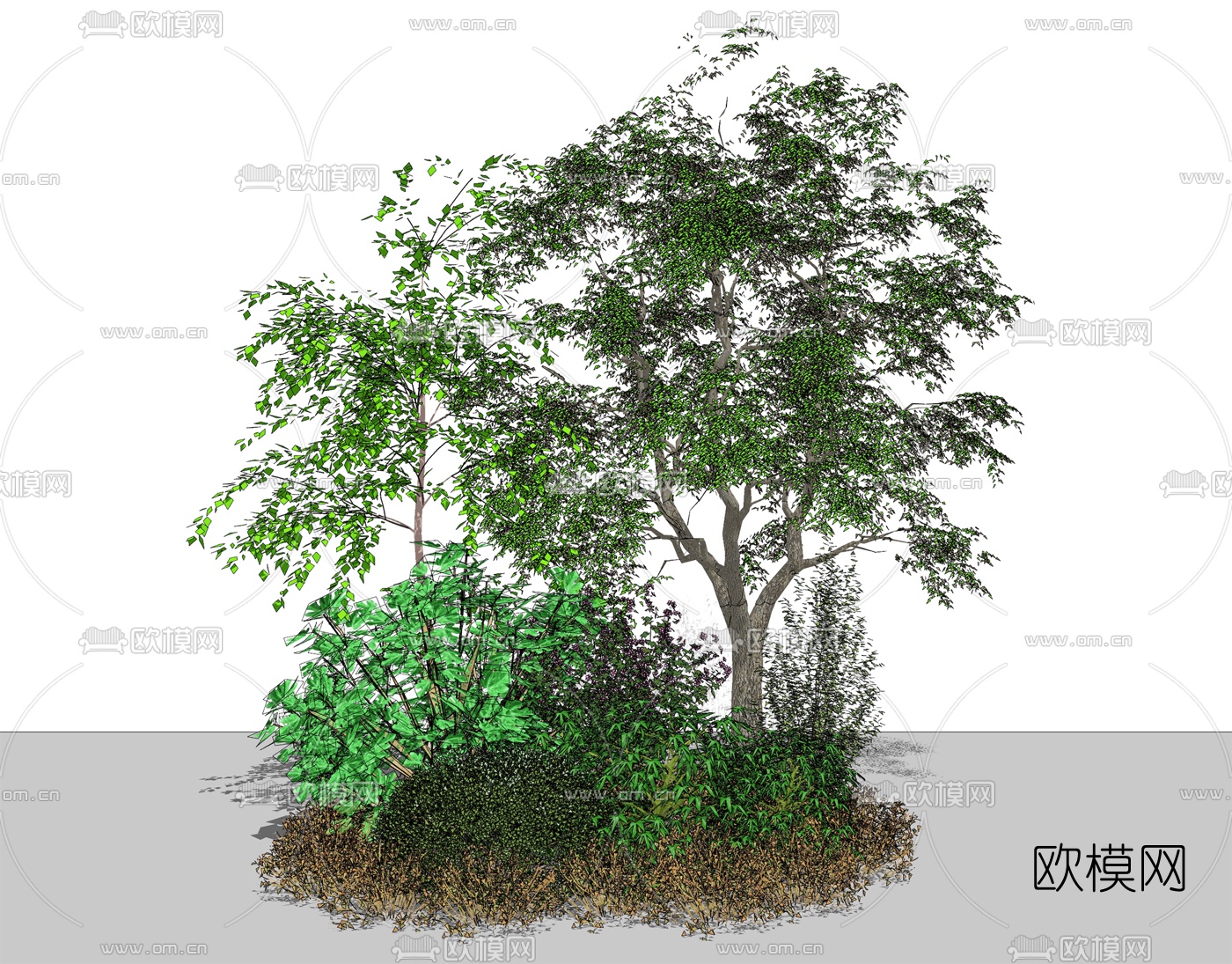 现代景观树灌木丛su模型下载