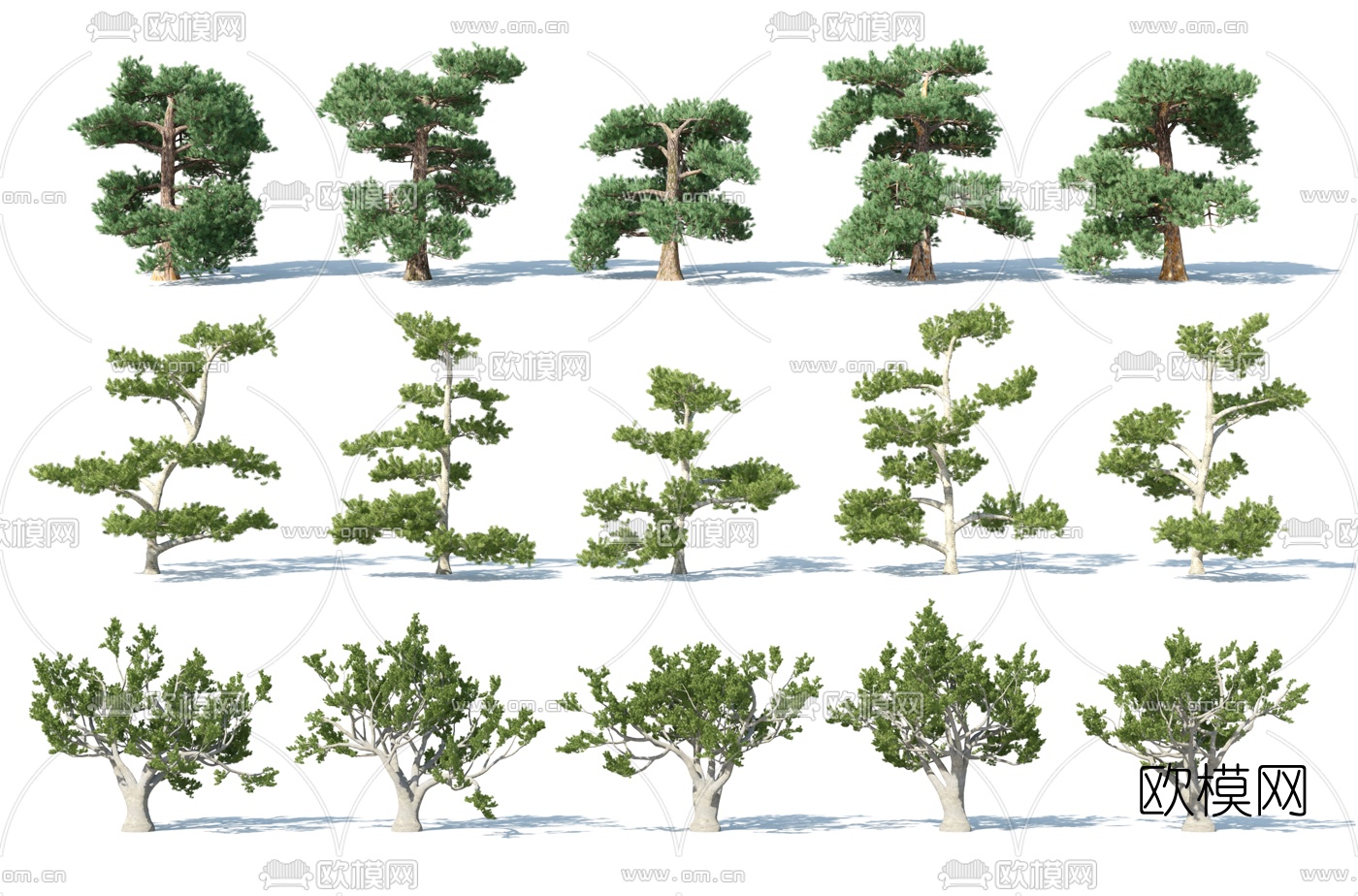 现代松树山松景观树植物3d模型