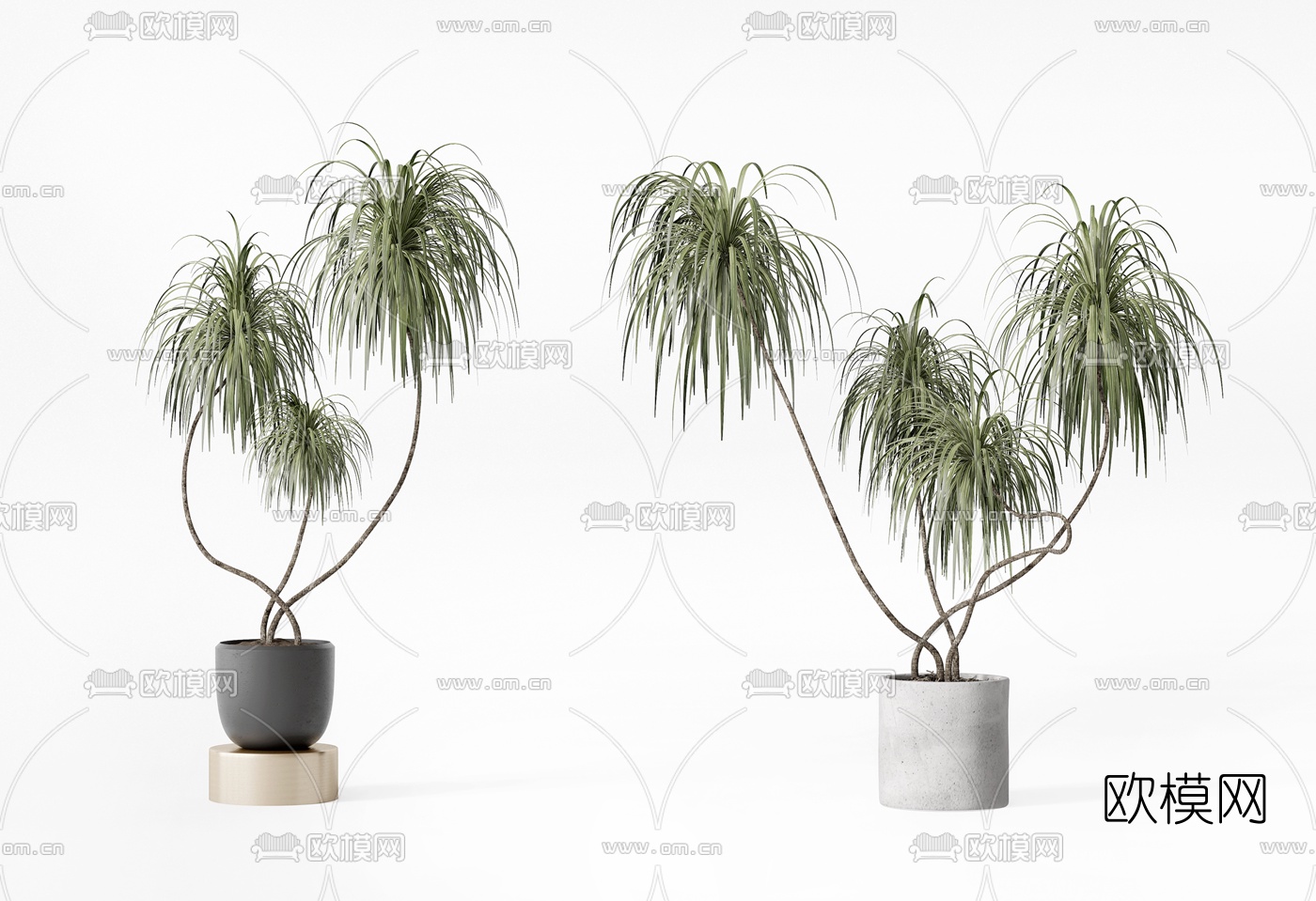 现代绿植盆栽3d模型下载