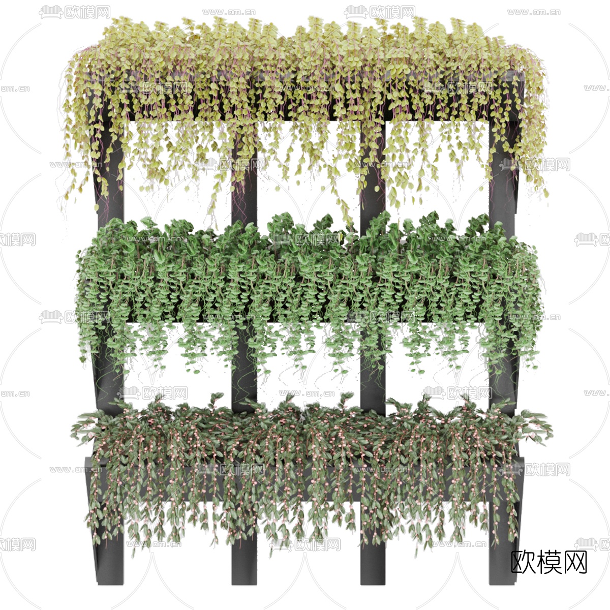 现代绿植藤蔓3d模型